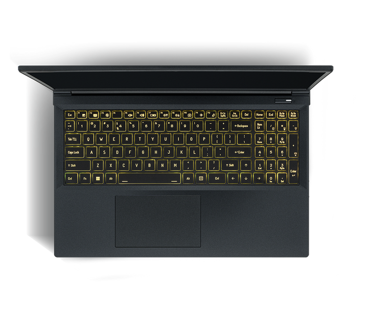 SAGER NP7550C (Clevo V350SNC) Gaming Laptop