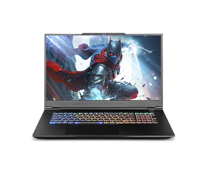 SAGER NP9372W (Clevo X370SNW-G) Gaming Laptop